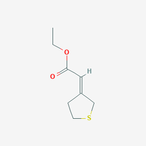 molecular formula C8H12O2S B13307411 Ethyl2-(thiolan-3-ylidene)acetate 