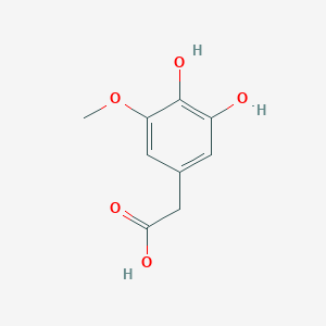 molecular formula C9H10O5 B13307662 2-(3,4-Dihydroxy-5-methoxyphenyl)acetic acid 