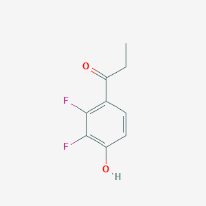 molecular formula C9H8F2O2 B13308036 1-(2,3-Difluoro-4-hydroxyphenyl)propan-1-one 