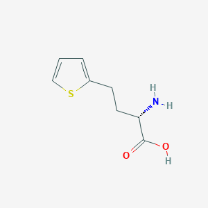 molecular formula C8H11NO2S B13308624 (2S)-2-Amino-4-(thiophen-2-YL)butanoic acid 