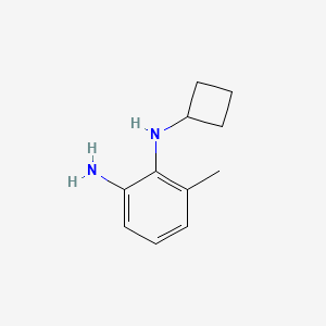 molecular formula C11H16N2 B13308793 1-N-Cyclobutyl-6-methylbenzene-1,2-diamine 