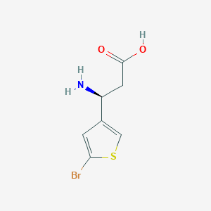 molecular formula C7H8BrNO2S B13310053 (3S)-3-amino-3-(5-bromothiophen-3-yl)propanoic acid 