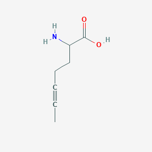 molecular formula C7H11NO2 B13310365 2-Aminohept-5-ynoic acid 