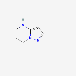 molecular formula C11H19N3 B13310388 2-tert-Butyl-7-methyl-4H,5H,6H,7H-pyrazolo[1,5-a]pyrimidine 