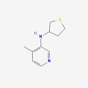 molecular formula C10H14N2S B13310668 4-methyl-N-(thiolan-3-yl)pyridin-3-amine 