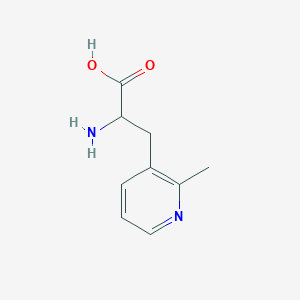 molecular formula C9H12N2O2 B13311265 2-Amino-3-(2-methylpyridin-3-yl)propanoic acid 