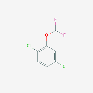 molecular formula C7H4Cl2F2O B13311976 1,4-Dichloro-2-(difluoromethoxy)benzene 