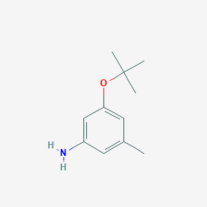 molecular formula C11H17NO B13312294 3-(Tert-butoxy)-5-methylaniline 