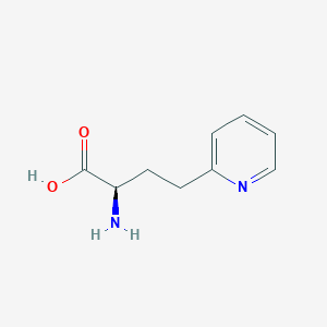 molecular formula C9H12N2O2 B13312633 (R)-2-Amino-4-pyridin-2-YL-butyric acid 