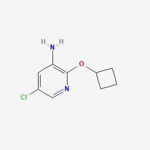 molecular formula C9H11ClN2O B13313813 5-Chloro-2-cyclobutoxypyridin-3-amine 