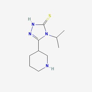 molecular formula C10H18N4S B13314098 5-(Piperidin-3-yl)-4-(propan-2-yl)-4H-1,2,4-triazole-3-thiol 