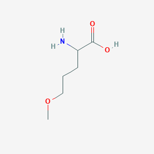 molecular formula C6H13NO3 B13314651 2-Amino-5-methoxypentanoic acid 