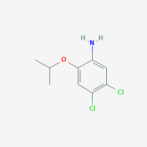 molecular formula C9H11Cl2NO B13315343 4,5-Dichloro-2-(propan-2-yloxy)aniline 