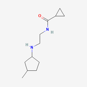 molecular formula C12H22N2O B13315544 N-{2-[(3-methylcyclopentyl)amino]ethyl}cyclopropanecarboxamide 