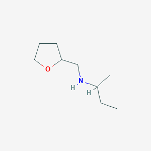 molecular formula C9H19NO B13315892 (Butan-2-yl)(oxolan-2-ylmethyl)amine 