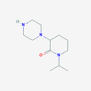 molecular formula C12H23N3O B13316273 3-(Piperazin-1-yl)-1-(propan-2-yl)piperidin-2-one 