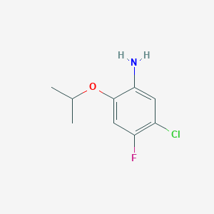 molecular formula C9H11ClFNO B13316671 5-Chloro-4-fluoro-2-(propan-2-yloxy)aniline 