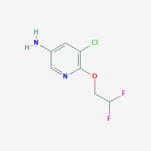 molecular formula C7H7ClF2N2O B13317027 5-Chloro-6-(2,2-difluoroethoxy)pyridin-3-amine 