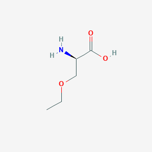 (2R)-2-amino-3-ethoxypropanoic acid