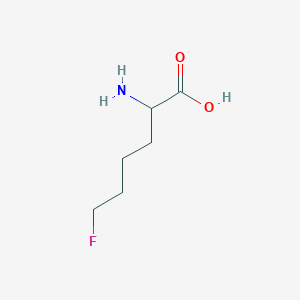 molecular formula C6H12FNO2 B13317355 2-Amino-6-fluorohexanoic acid 