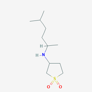 molecular formula C11H23NO2S B13318161 3-((5-Methylhexan-2-yl)amino)tetrahydrothiophene 1,1-dioxide 