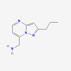 molecular formula C10H14N4 B13319310 {2-Propylpyrazolo[1,5-a]pyrimidin-7-yl}methanamine 