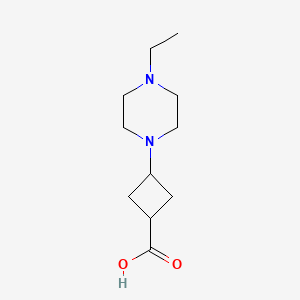 molecular formula C11H20N2O2 B13319729 3-(4-Ethylpiperazin-1-yl)cyclobutane-1-carboxylic acid 