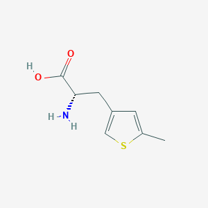 molecular formula C8H11NO2S B13320108 (2S)-2-amino-3-(5-methylthiophen-3-yl)propanoic acid 