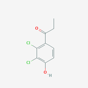 molecular formula C9H8Cl2O2 B13320545 1-(2,3-Dichloro-4-hydroxyphenyl)propan-1-one 