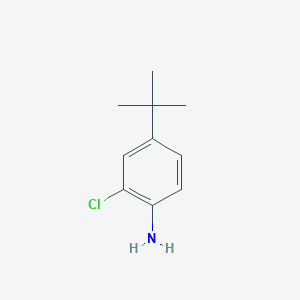 molecular formula C10H14ClN B1332079 4-(叔丁基)-2-氯苯胺 CAS No. 42265-67-8