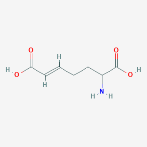 molecular formula C7H11NO4 B13321658 6-Aminohept-2-enedioic acid 