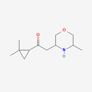 molecular formula C12H21NO2 B13321946 1-(2,2-Dimethylcyclopropyl)-2-(5-methylmorpholin-3-yl)ethan-1-one 