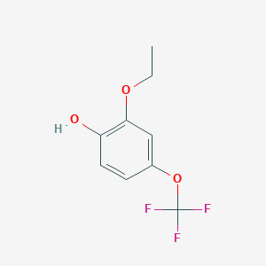 molecular formula C9H9F3O3 B13322054 2-Ethoxy-4-(trifluoromethoxy)phenol 