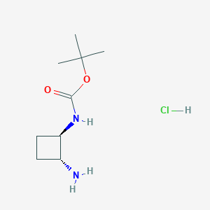 molecular formula C9H19ClN2O2 B13322243 trans-1-(Boc-amino)-2-aminocyclobutane HCl 