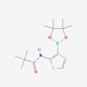 N-(3-(4,4,5,5-Tetramethyl-1,3,2-dioxaborolan-2-yl)thiophen-2-yl)pivalamide