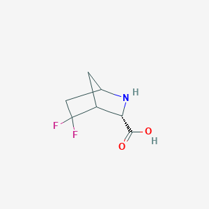 molecular formula C7H9F2NO2 B13322543 (3S)-5,5-difluoro-2-azabicyclo[2.2.1]heptane-3-carboxylic acid 