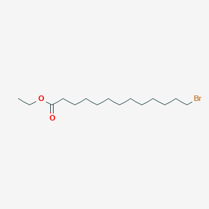 molecular formula C15H29BrO2 B13322668 Ethyl 13-bromotridecanoate 