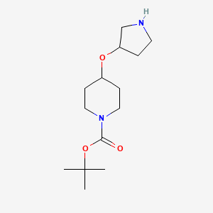 tert-Butyl 4-(pyrrolidin-3-yloxy)piperidine-1-carboxylate