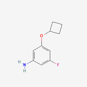 molecular formula C10H12FNO B13325782 3-Cyclobutoxy-5-fluoroaniline 