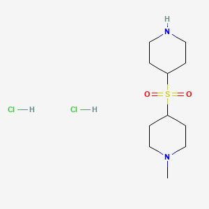 molecular formula C11H24Cl2N2O2S B13325932 1-Methyl-4-(piperidin-4-ylsulfonyl)piperidine dihydrochloride 