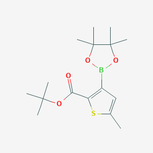 molecular formula C16H25BO4S B13327956 Tert-butyl 5-methyl-3-(4,4,5,5-tetramethyl-1,3,2-dioxaborolan-2-yl)thiophene-2-carboxylate 