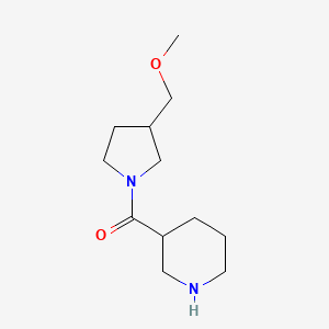 molecular formula C12H22N2O2 B13328231 3-[3-(Methoxymethyl)pyrrolidine-1-carbonyl]piperidine 