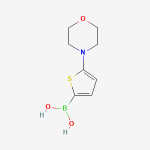 molecular formula C8H12BNO3S B13328592 (5-Morpholinothiophen-2-yl)boronic acid 