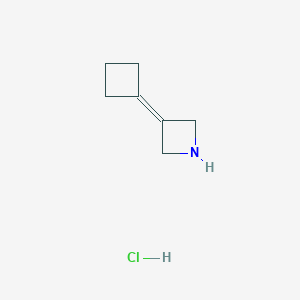 molecular formula C7H12ClN B13328908 3-Cyclobutylideneazetidine hydrochloride 