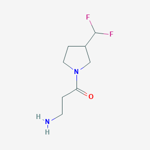 molecular formula C8H14F2N2O B13329072 3-Amino-1-(3-(difluoromethyl)pyrrolidin-1-yl)propan-1-one 