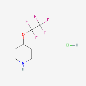 molecular formula C7H11ClF5NO B13329172 4-(Perfluoroethoxy)piperidine hydrochloride 