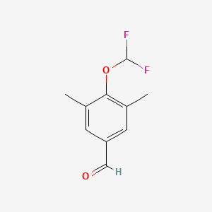 molecular formula C10H10F2O2 B1332929 4-(二氟甲氧基)-3,5-二甲基苯甲醛 CAS No. 749920-58-9