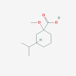 molecular formula C11H20O3 B13329340 1-Methoxy-3-(propan-2-yl)cyclohexane-1-carboxylic acid 