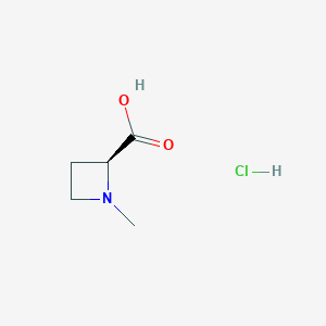 molecular formula C5H10ClNO2 B13329917 (S)-1-Methylazetidine-2-carboxylic acid hydrochloride 