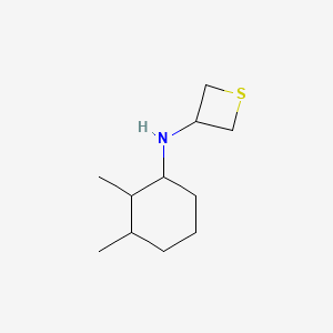 molecular formula C11H21NS B13330283 N-(2,3-Dimethylcyclohexyl)thietan-3-amine 